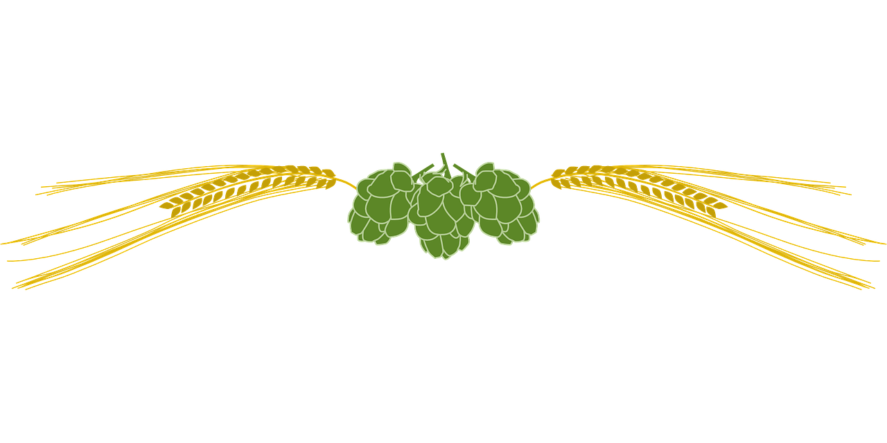 hops, barley, beer-31495.jpg